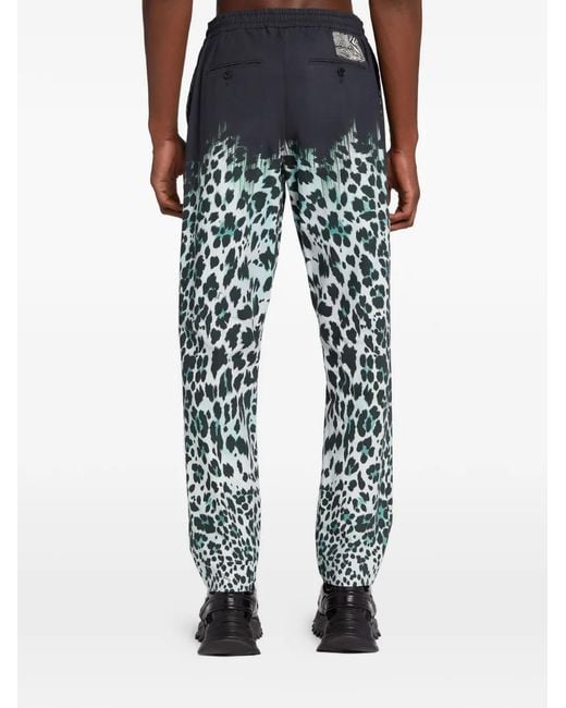 Roberto Cavalli Blue Animal-Print Track Pants for men