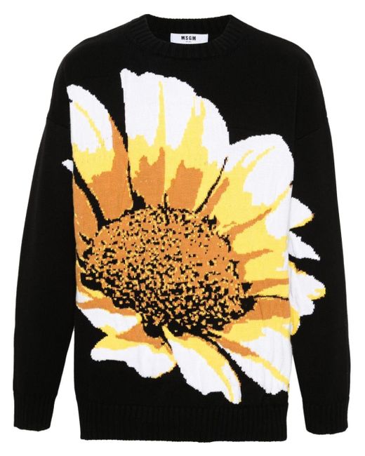 MSGM Intarsien-Pullover mit Blumen in Black für Herren