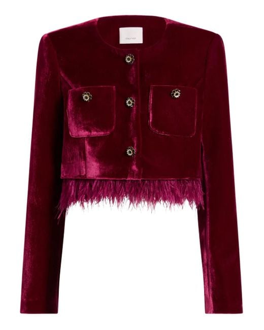 Cinq À Sept Red Evelina Jacket