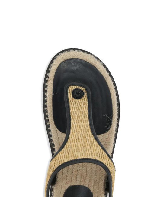 Castaner Brown Tamesis/104 Shoes