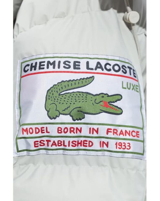 Lacoste Gray Hooded Padded Coat