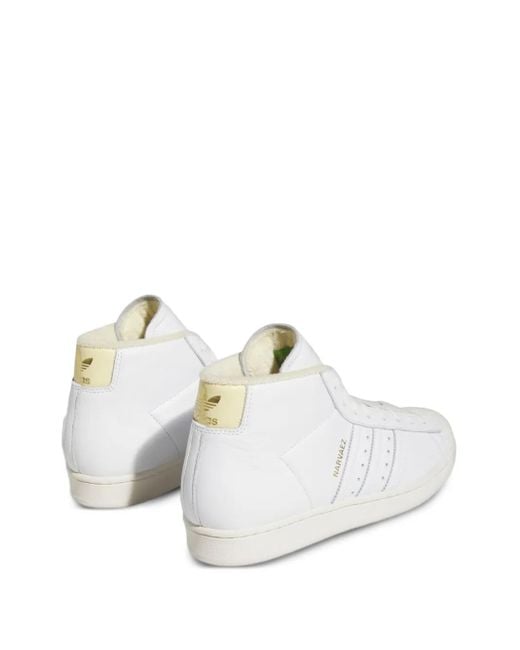 Baskets Pro Model Adv 'Sam Narvaez' Adidas en coloris White