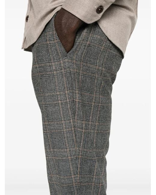 PT Torino Karierte Hose in Gray für Herren