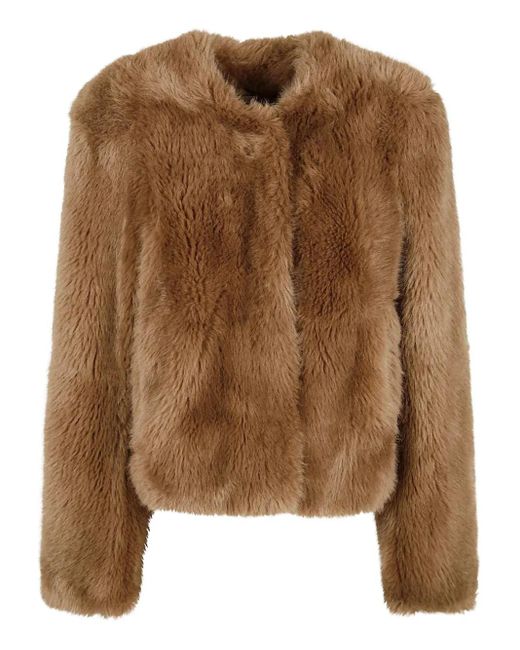 Chaqueta Sin Cuello Stand Studio de color Brown