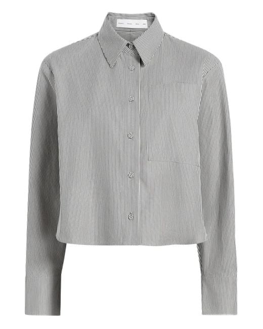 Proenza Schouler Olive ストライプ クロップドシャツ Gray