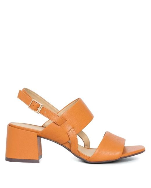 Sarah Chofakian Brown Laura Sandalen 50mm