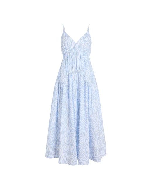 Proenza Schouler Blue Michelyn Zebra-Print Maxi Dress