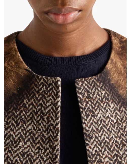 Prada Brown Cotton Single-Breasted Caban Jacket