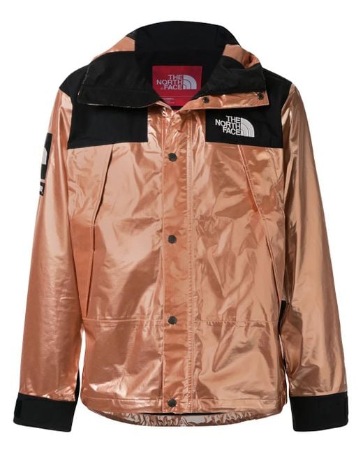 Supreme Black X The North Face Metallic Mountain Jacket for men