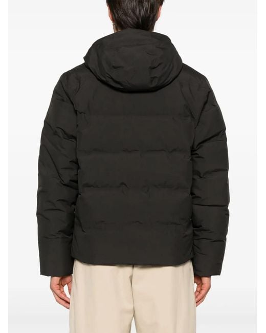 Patagonia Black Jackson Glacier Jacket for men