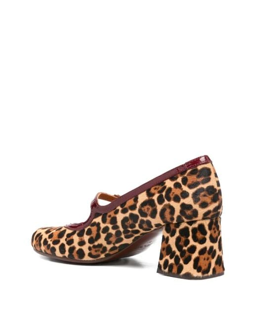 Chie Mihara Brown Shoes
