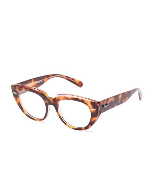 Ray-Ban Brown Doreen Glasses