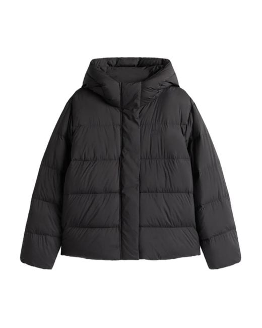 Tommy Hilfiger Black Down Hooded Puffer Jacket
