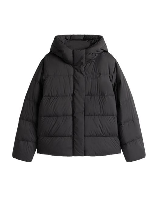 Tommy Hilfiger Black Down Hooded Puffer Jacket