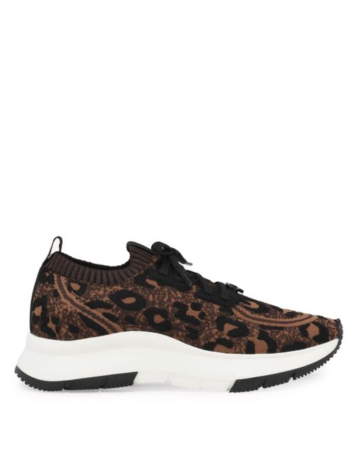 Gianvito Rossi Brown Glover Sneakers mit Leoparden-Print