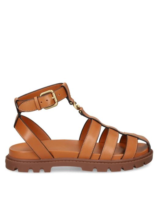 Sandali di COACH in Brown
