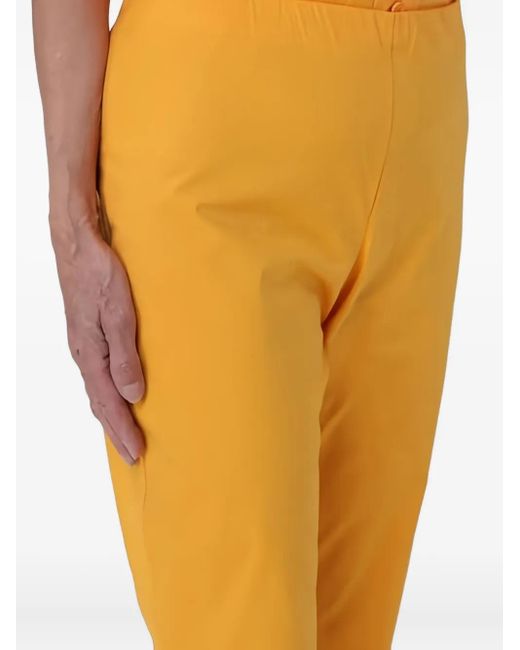 Liviana Conti Yellow Ausgestellte Hose