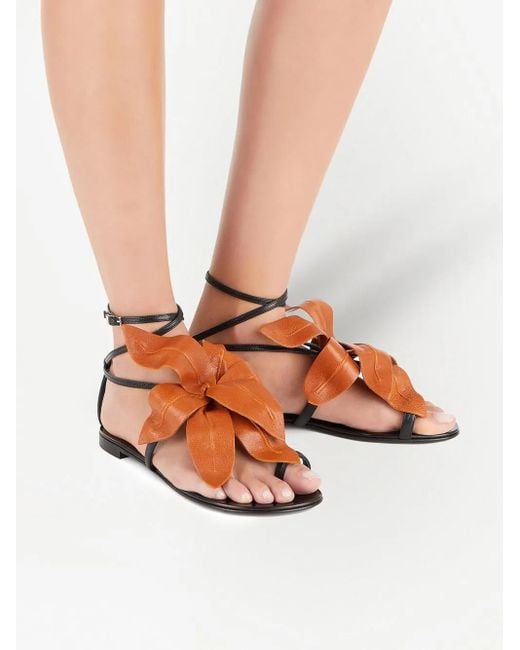 Giuseppe Zanotti Brown Lilium Flat Sandals