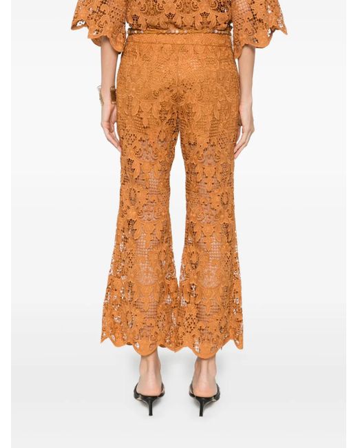 Zimmermann Orange Ausgestellte Coco Lace Hose