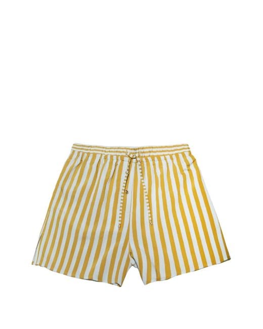 Sessun Metallic Vertical-Stripe Drawstring Shorts