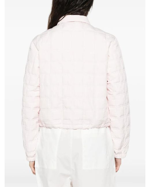 Moncler Pink Collar Zip Jacket