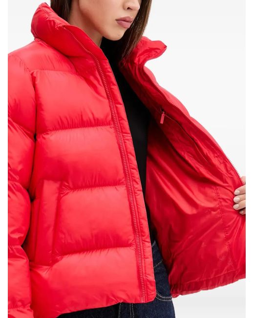 Adidas Red Zip Puffer Jacket
