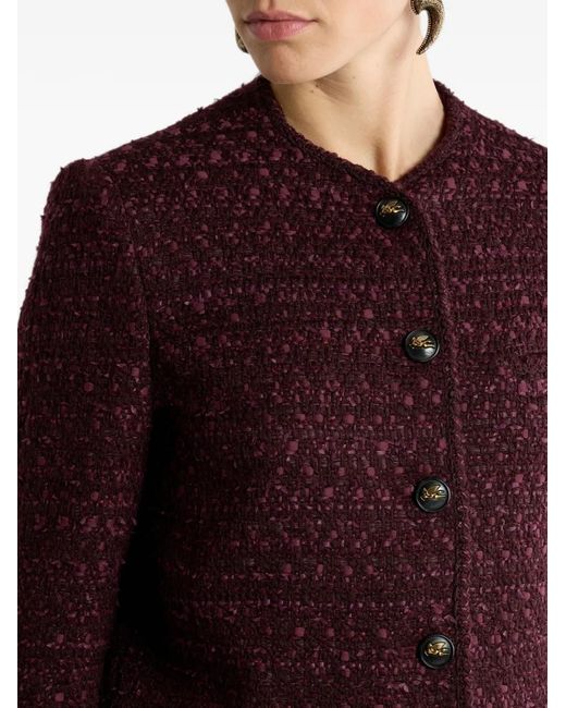 Etro Jack Van Wolmix in het Purple