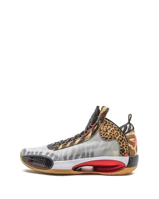 Nike White Air Xxxiv "Jayson Tatum Pe" Sneakers for men