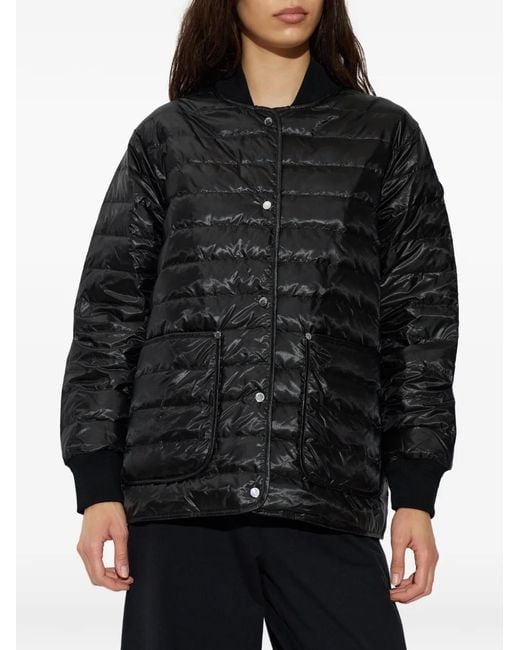 Moose Knuckles Black Transit Quilted Button-Fastening Jacket