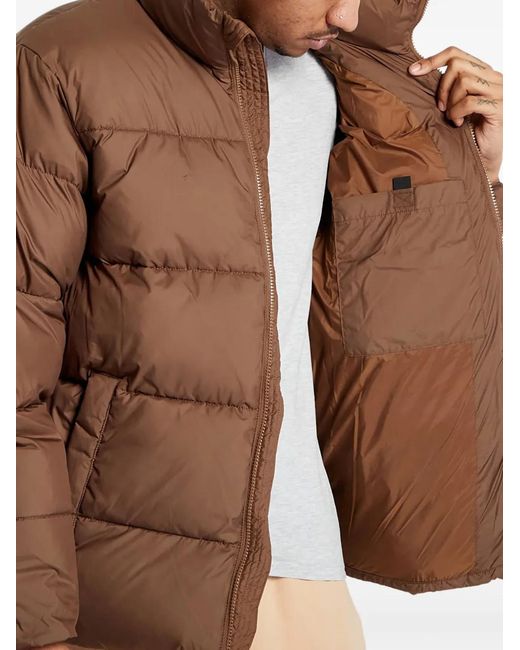 Carhartt Brown Springfield Jacket for men