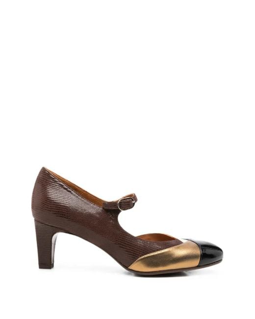 Chie Mihara Brown Fysa Buckle-Fastening Pumps