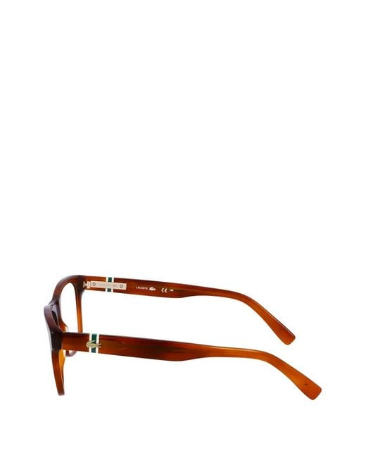 Lacoste Brown Square-Frame Glasses