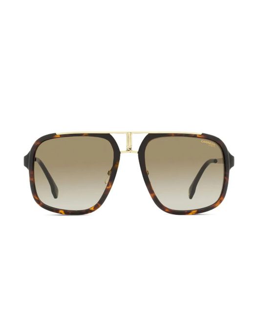 Carrera パイロット サングラス Brown