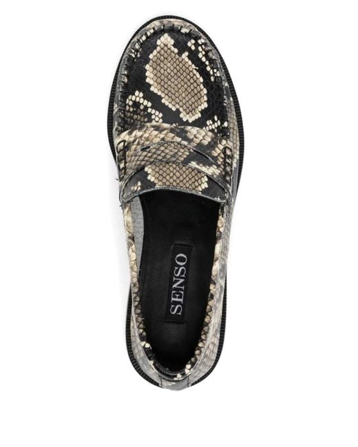 Senso Gray Cooper Loafers
