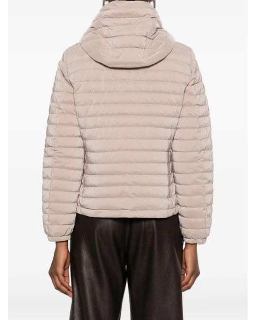Moorer Natural Hooded Zip-Up Jacket