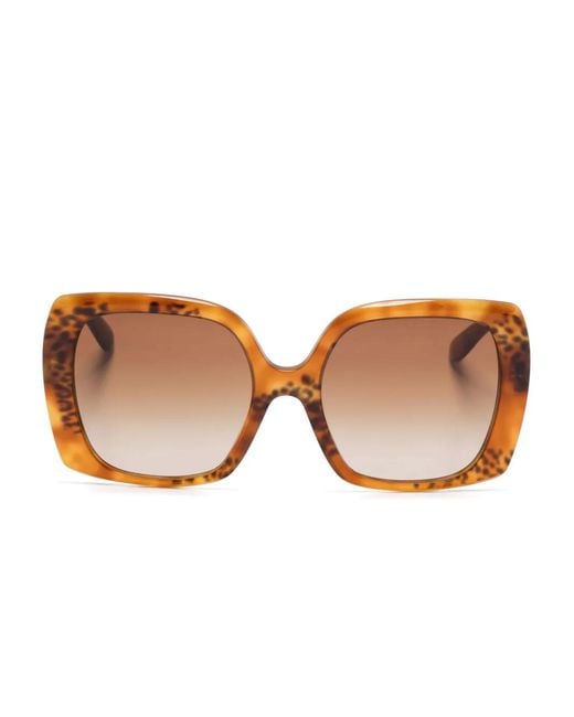 Dolce & Gabbana Brown Oversize-Frame Sunglasses