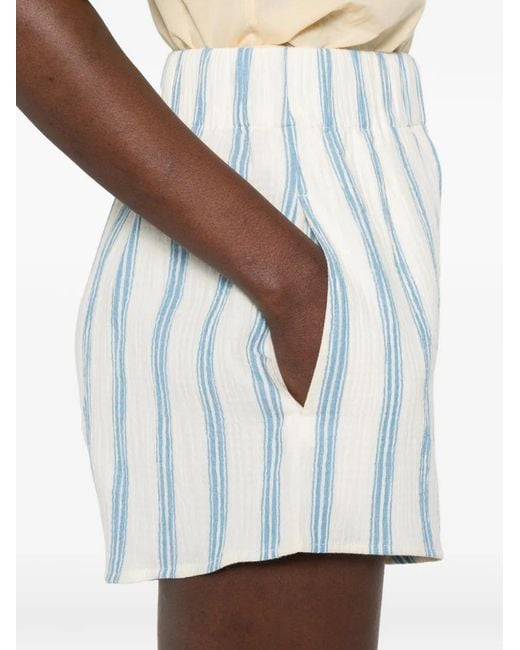 Bondi Born White Short À Rayures