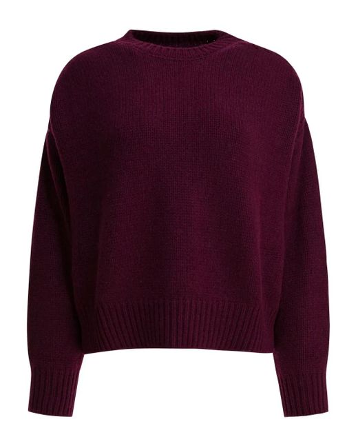 Pull À Col Rond Sa Su Phi en coloris Purple