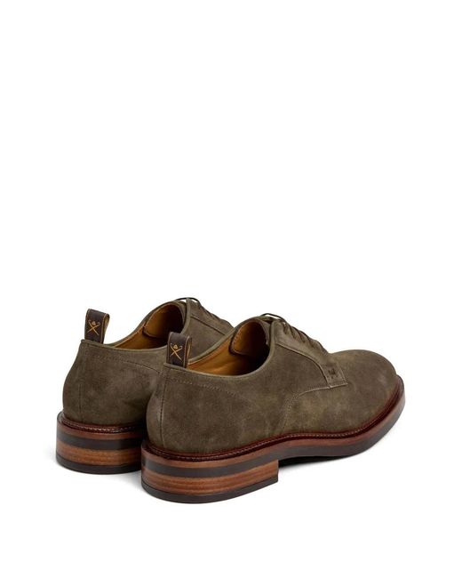 Hackett Brown Egmont Derby Shoes for men