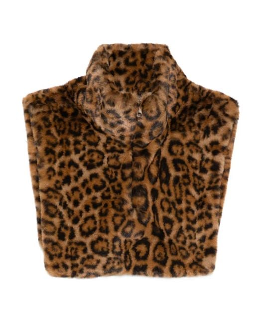 Apparis Brown Jamie Leopard Dickey