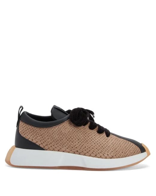 Giuseppe Zanotti Ferox Sneakers in Brown für Herren