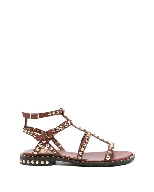 Ash Pink Precious Stud-Embellished Gladiator Sandals