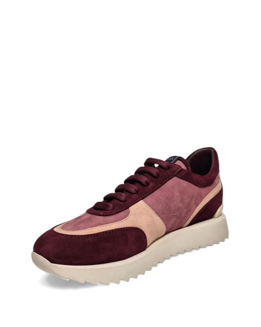Le Silla Purple Suede Sneakers