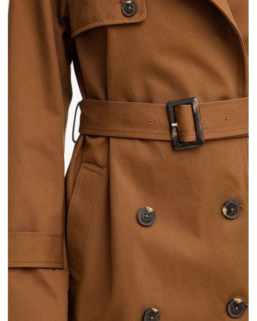 Gabardina Con Cinturón Morgan de color Brown