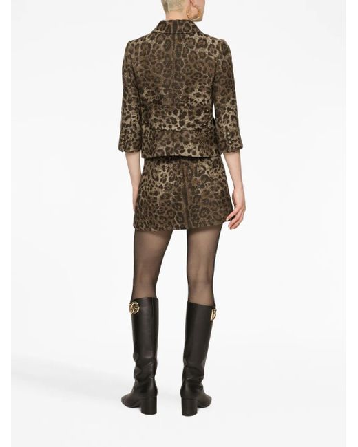 Dolce & Gabbana Brown Skirt