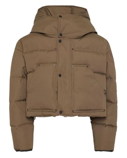 DSquared² Brown Cropped Puffer Jacket