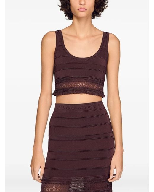 Sandro Brown Pointelle Knit Crop Top