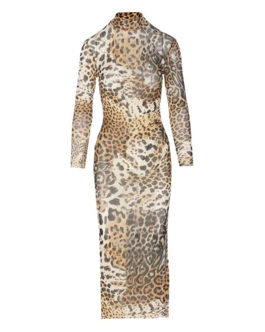 Roberto Cavalli Metallic Midikleid Mit Leoparden-Print