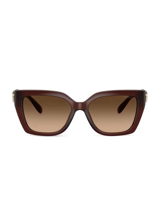 COACH Brown Cat-Eye Sunglasses