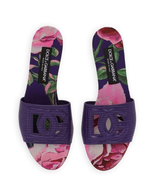 Dolce & Gabbana Purple DG Pantoletten mit Eidechsenmuster